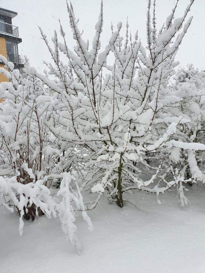 Wohnung Im Schwarzwald Mit Panorama Blick Kleines Wiesental エクステリア 写真