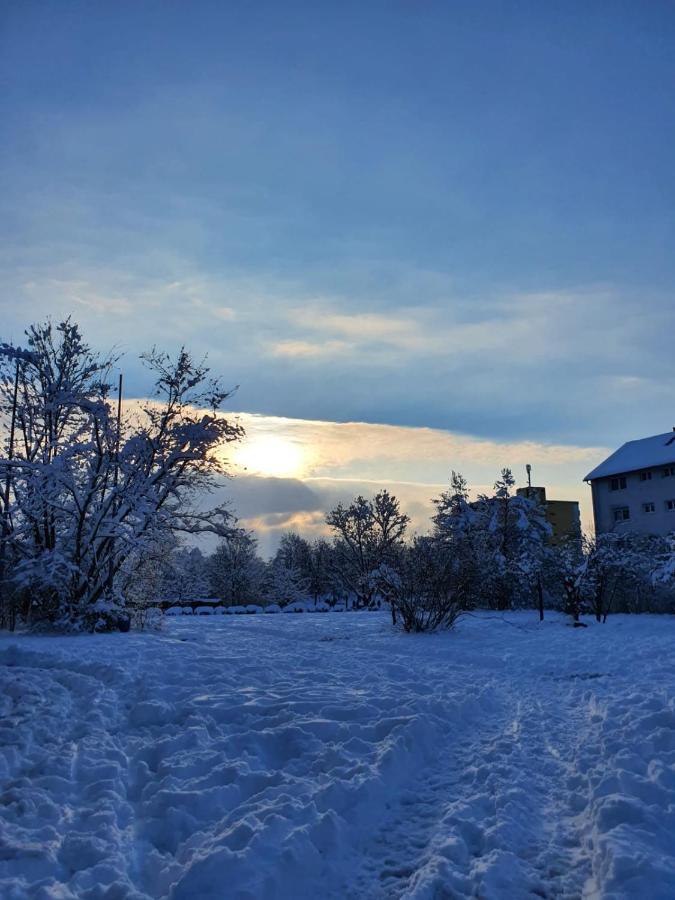 Wohnung Im Schwarzwald Mit Panorama Blick Kleines Wiesental エクステリア 写真