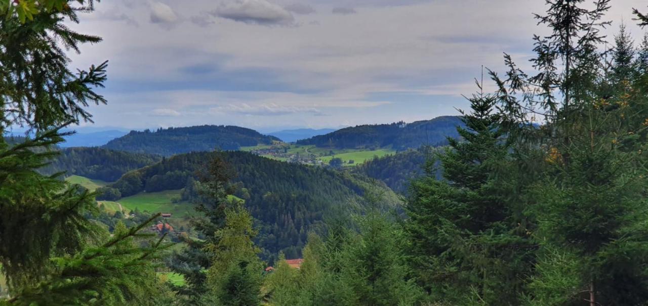 Wohnung Im Schwarzwald Mit Panorama Blick Kleines Wiesental エクステリア 写真