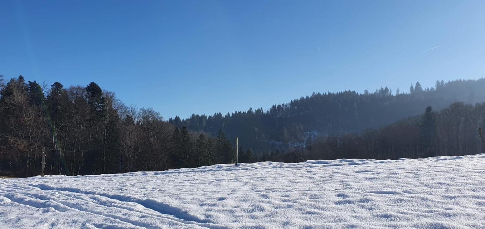 Wohnung Im Schwarzwald Mit Panorama Blick Kleines Wiesental エクステリア 写真