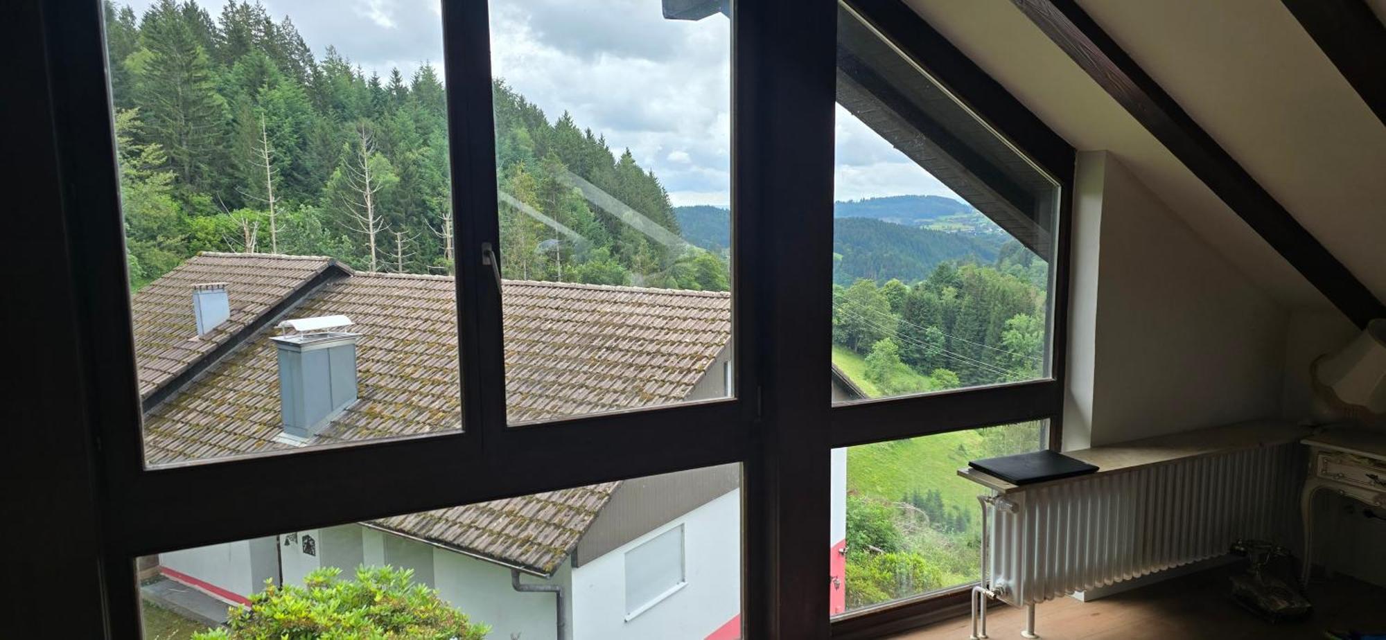 Wohnung Im Schwarzwald Mit Panorama Blick Kleines Wiesental エクステリア 写真