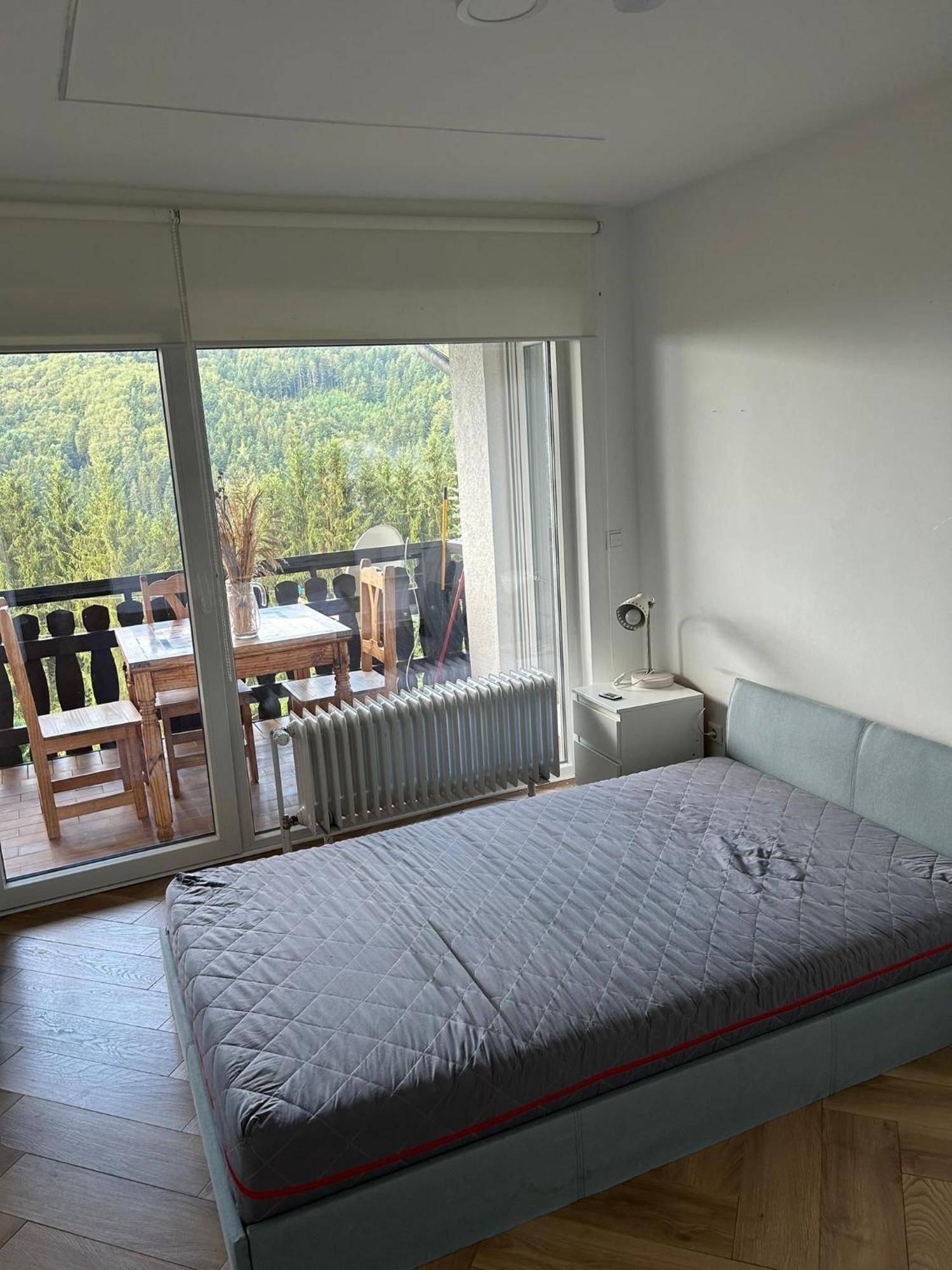 Wohnung Im Schwarzwald Mit Panorama Blick Kleines Wiesental エクステリア 写真